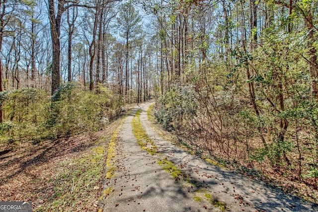 view of road featuring a forest view