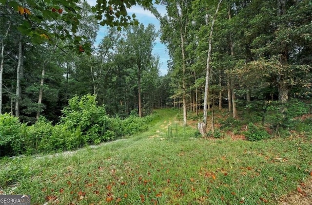 view of landscape with a wooded view