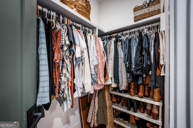 view of spacious closet