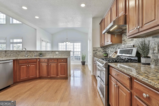 41 Eastlake Lndg, Newnan, GA 30265 - kitchen featuring under cabinet range hood, appliances with stainless steel finishes, vaulted ceiling, light wood-style floors, and brown cabinets