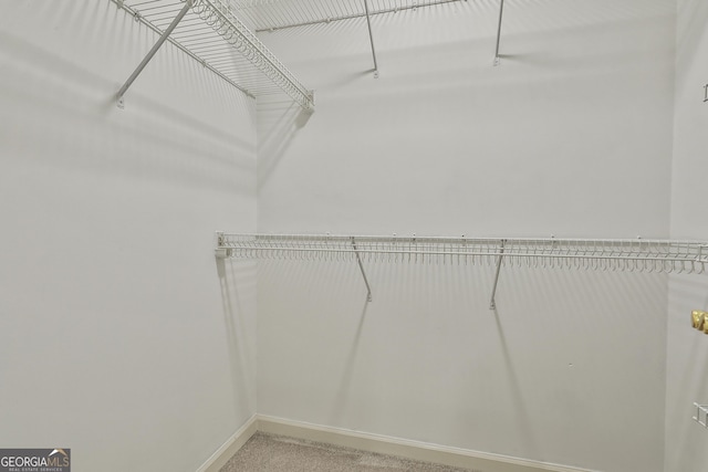 41 Eastlake Lndg, Newnan, GA 30265 - spacious closet featuring light colored carpet