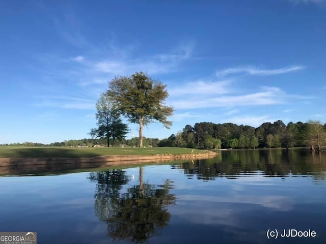 41 Eastlake Lndg, Newnan, GA 30265 - water view