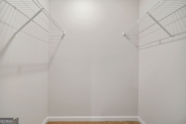 spacious closet with carpet floors