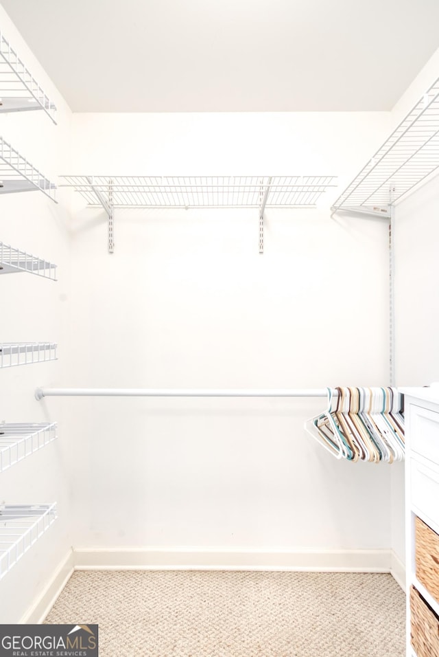 1650 Pierce Dairy Rd, Madison, GA 30650 - spacious closet featuring carpet