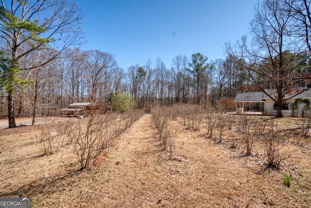 1650 Pierce Dairy Rd, Madison, GA 30650 - exterior space