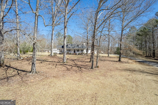 1650 Pierce Dairy Rd, Madison, GA 30650 - view of yard