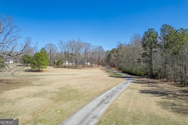 1650 Pierce Dairy Rd, Madison, GA 30650 - view of road