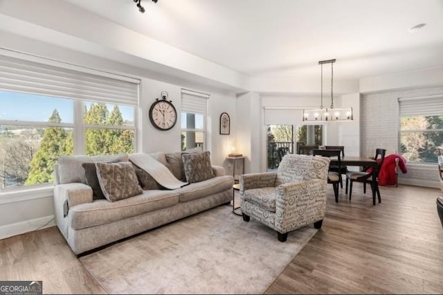 living area with plenty of natural light, an inviting chandelier, and wood finished floors