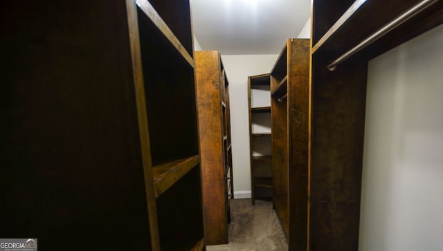 spacious closet featuring carpet flooring