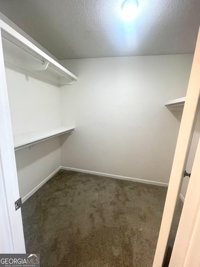 spacious closet featuring carpet floors