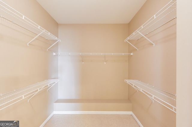 spacious closet with carpet floors