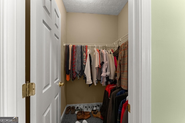 view of spacious closet