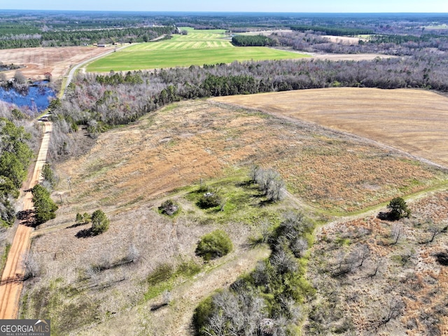 2819 Stripling Rd, Dexter GA, 31019 land for sale