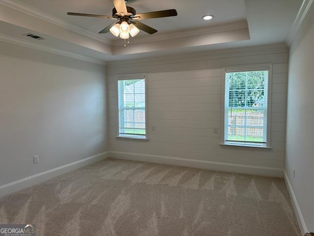 unfurnished room featuring light carpet, plenty of natural light, and a raised ceiling