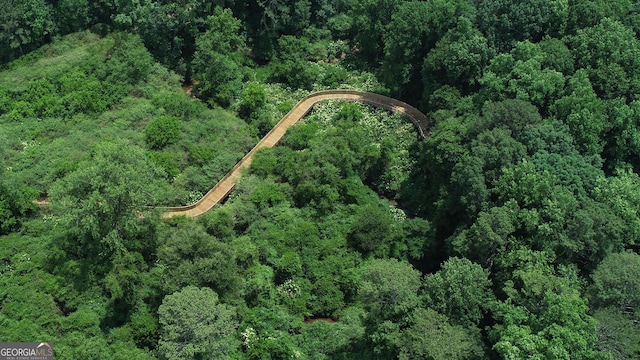 1322 Stanley Park Dr, Decatur, GA 30033 - aerial view featuring a view of trees