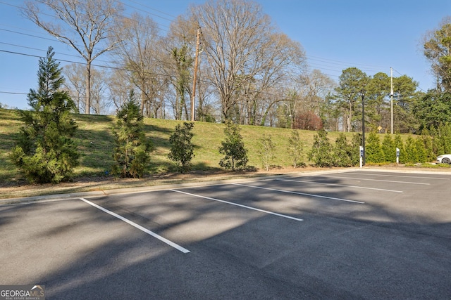 1322 Stanley Park Dr, Decatur, GA 30033 - view of uncovered parking lot