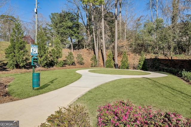 1322 Stanley Park Dr, Decatur, GA 30033 - surrounding community with a lawn