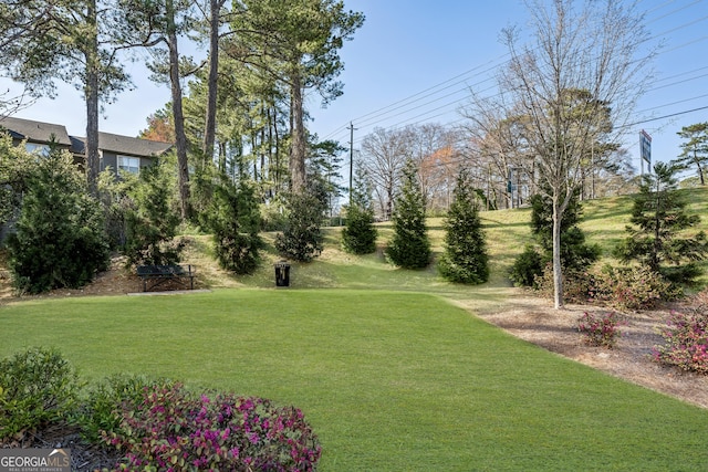 1322 Stanley Park Dr, Decatur, GA 30033 - view of yard