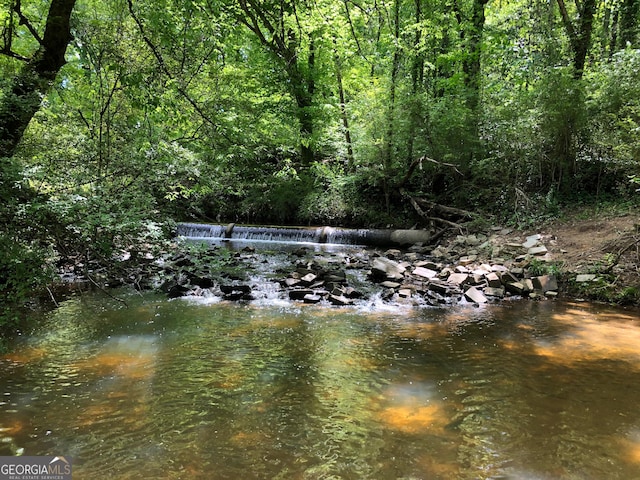 1322 Stanley Park Dr, Decatur, GA 30033 - property view of water featuring a forest view