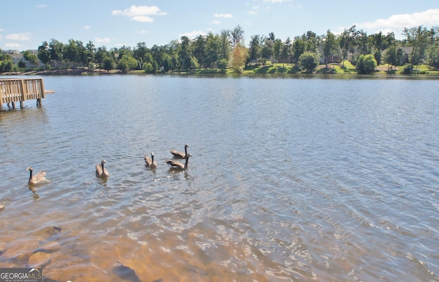 property view of water