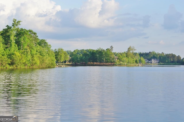 property view of water with a forest view