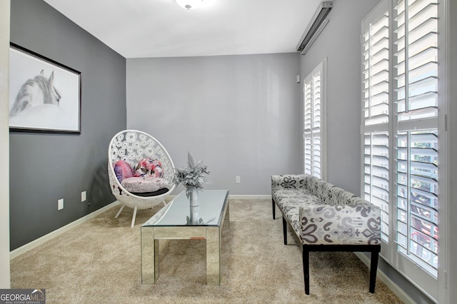 sitting room featuring baseboards and carpet floors