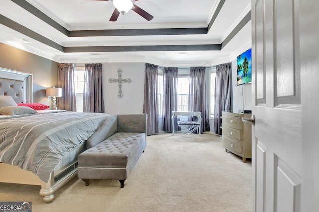 carpeted bedroom with crown molding, a tray ceiling, multiple windows, and a ceiling fan