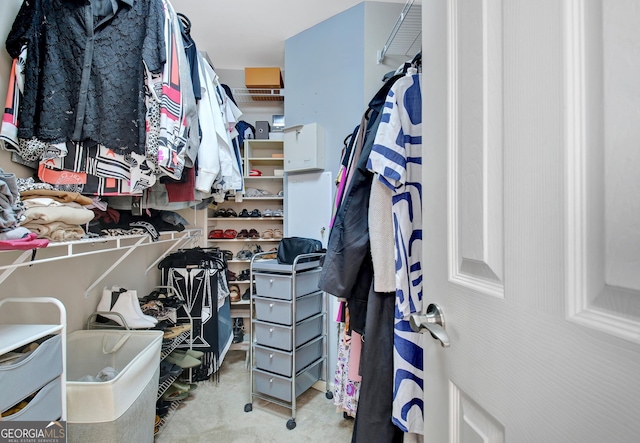 spacious closet featuring carpet