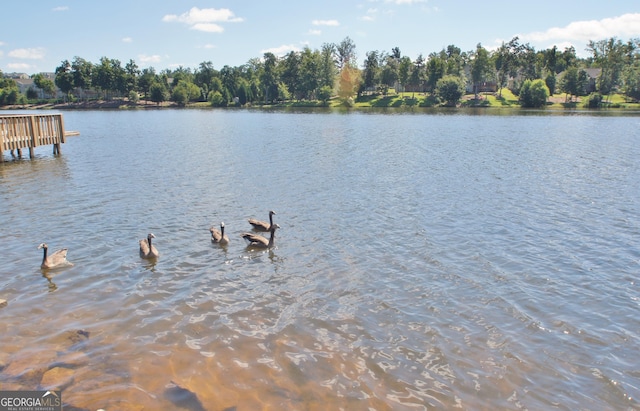 65 Tapestry Ln, Newnan, GA 30265 - water view