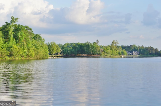 water view featuring a forest
