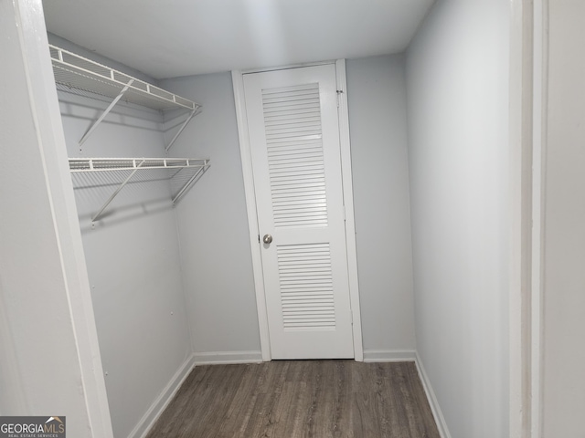 spacious closet featuring wood finished floors