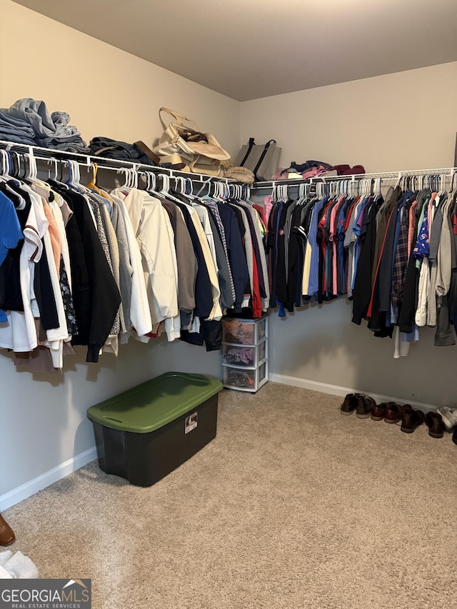 walk in closet featuring carpet flooring