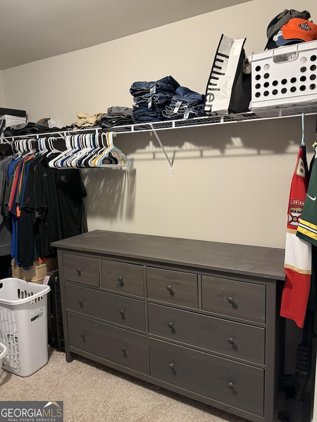 spacious closet with light colored carpet