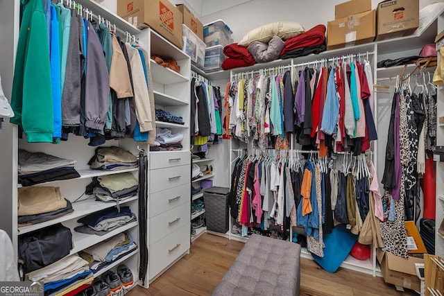 spacious closet featuring wood finished floors