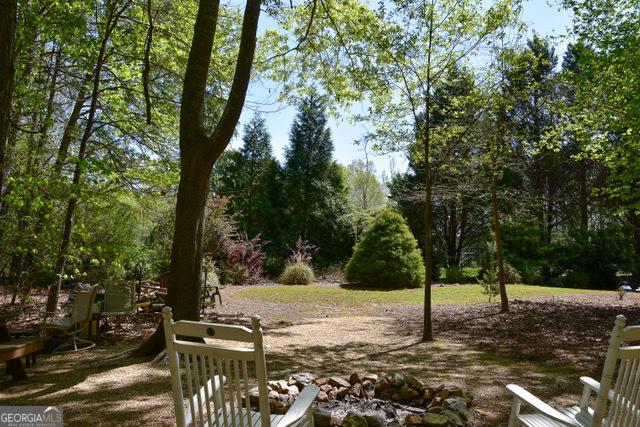 332 Black Willow Ct, Locust Grove, GA 30248 - view of yard