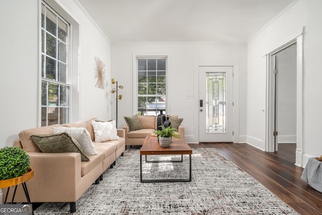 living room with crown molding, dark wood-style floors, and baseboards