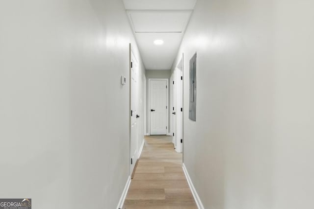 hall featuring electric panel, baseboards, attic access, and light wood finished floors