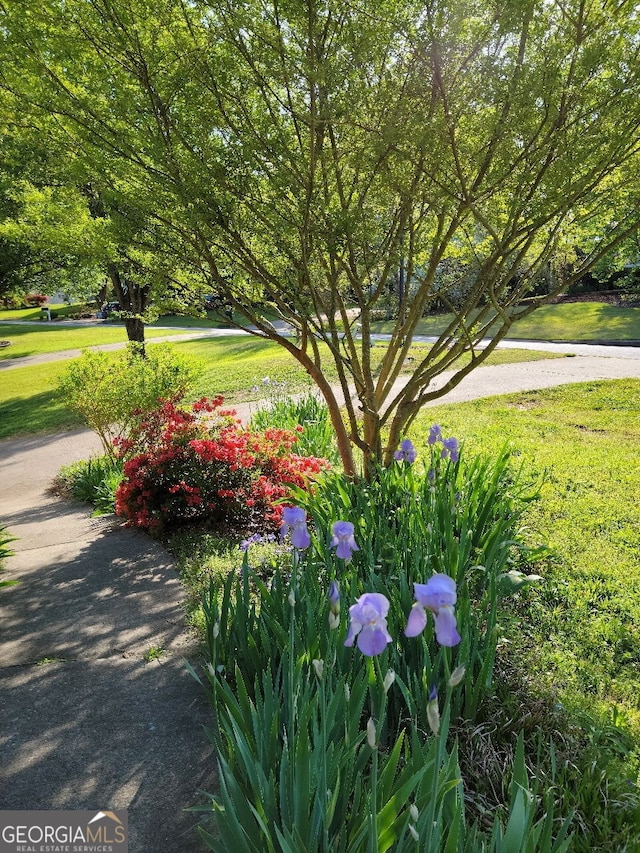 view of property's community featuring a yard