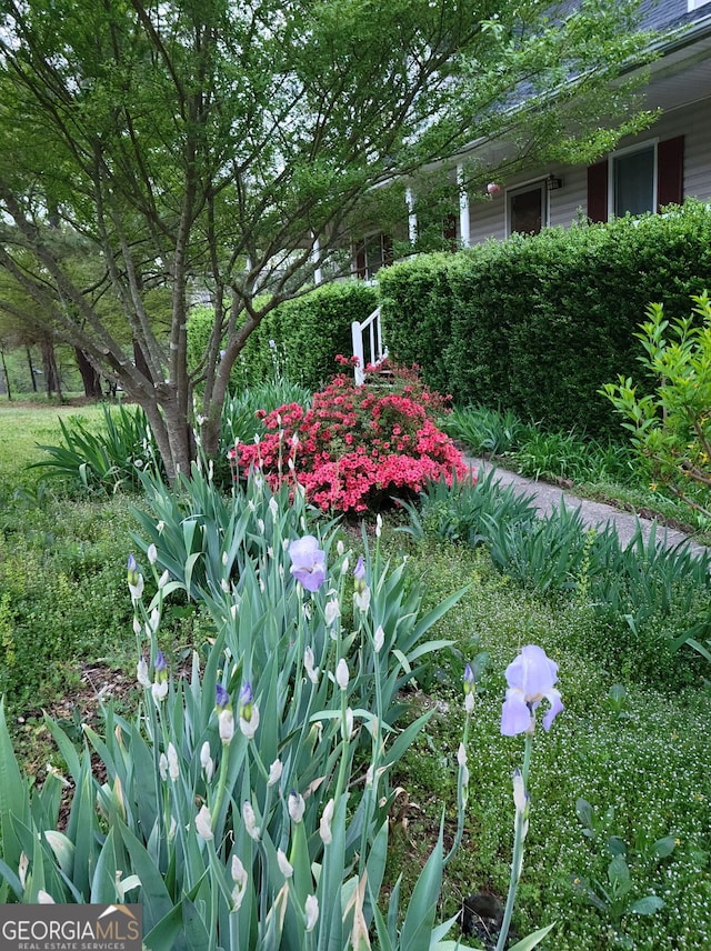 345 Lambeth Dr, Hiram, GA 30141 - view of yard