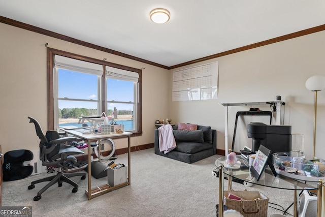 carpeted home office featuring baseboards and ornamental molding