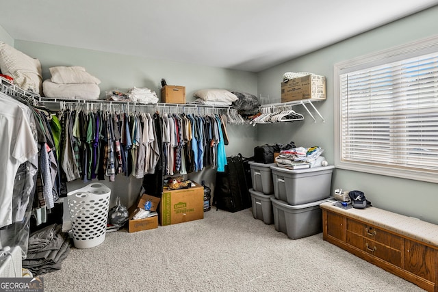 spacious closet featuring carpet flooring