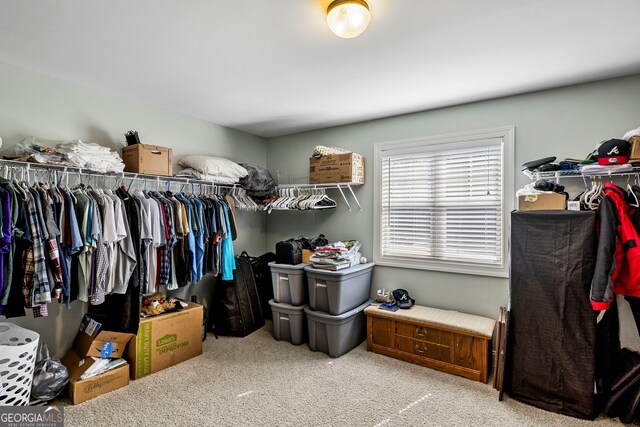 spacious closet featuring carpet floors