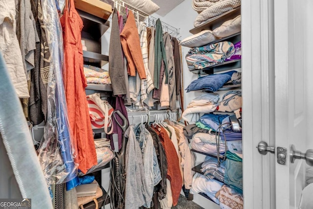 walk in closet featuring carpet floors