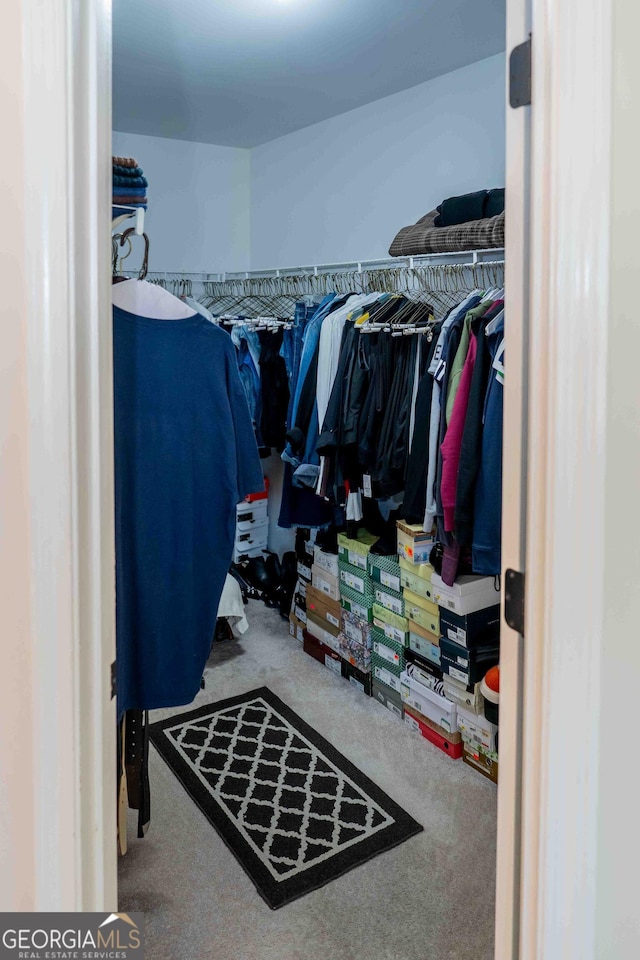 walk in closet with carpet