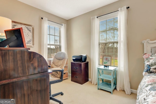 office space with baseboards and carpet flooring