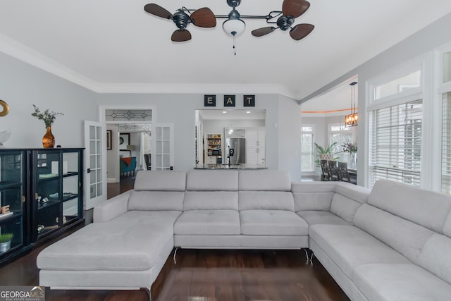 living area with wood finished floors, ceiling fan with notable chandelier, and ornamental molding