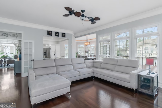 living area with dark wood finished floors, crown molding, and ceiling fan with notable chandelier