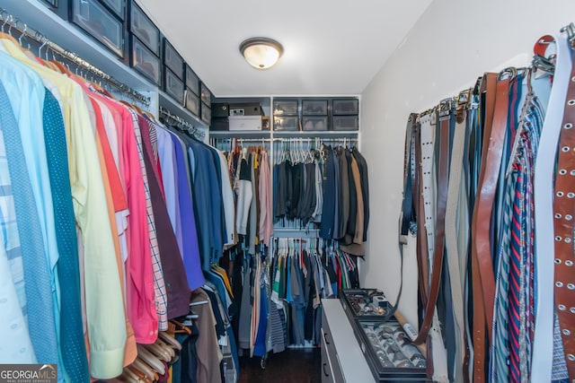 view of walk in closet