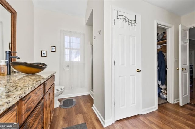 full bathroom featuring vanity, toilet, wood finished floors, and a shower stall