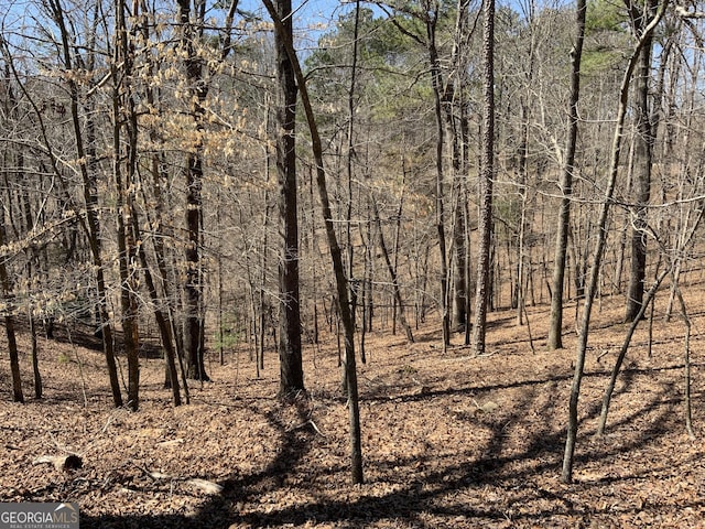 114 Palisade Dr, Ellijay, GA 30540 - view of nature with a view of trees